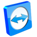 Teleassistenza